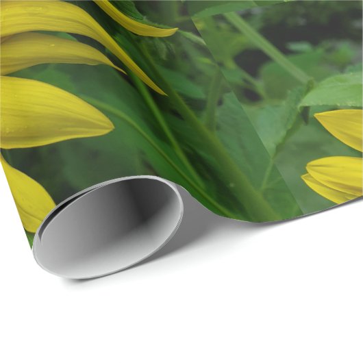 Sonnenblume Geschenkpapier (Rolleneckpunkt)