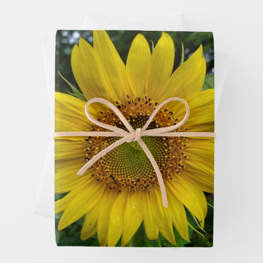 Sonnenblume Geschenkpapier Set (Beispiel)