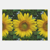 Sonnenblume Geschenkpapier Set (Vorderseite)