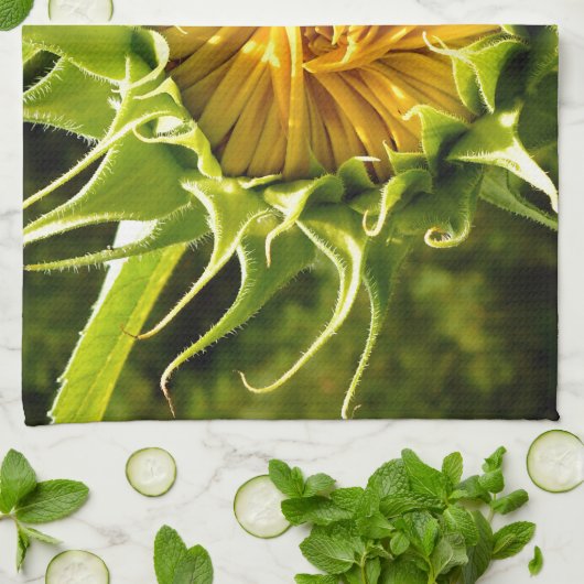 Sonnenblume Geschirrtuch (Gefaltet)