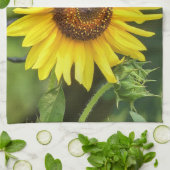Sonnenblume Geschirrtuch (Gefaltet)