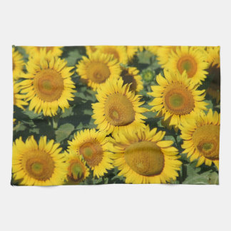 Sonnenblume-Geschirrtuch 16" x 24" Küchentuch