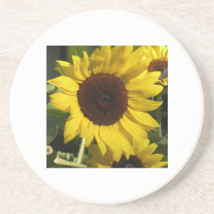 Sonnenblume Getränkeuntersetzer