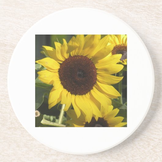 Sonnenblume Getränkeuntersetzer (Vorne)