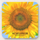 Sonnenblume Getränkeuntersetzer (Vorderseite)