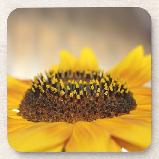 Sonnenblume Getränkeuntersetzer (Vorderseite)