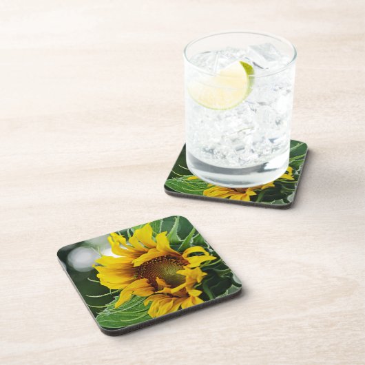 Sonnenblume Getränkeuntersetzer (Rechte Seite)