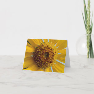 Sonnenblume - Gigant Gelb Zentrum Nah Karte