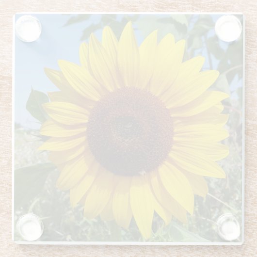 Sonnenblume Glasuntersetzer (Rückseite)