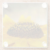 Sonnenblume Glasuntersetzer (Rückseite)