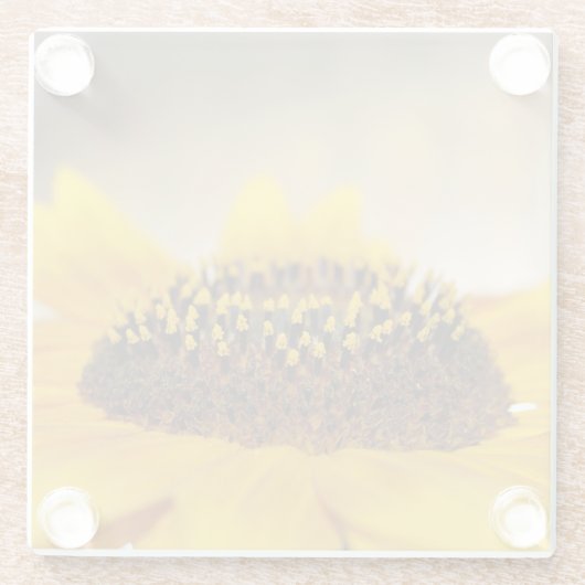 Sonnenblume Glasuntersetzer (Rückseite)