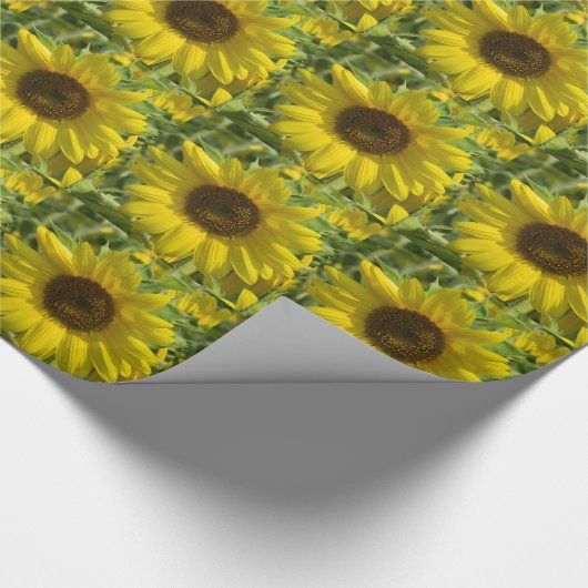 Sonnenblume-Glühen-Gewohnheits-Packpapier Geschenkpapier (Ecke)
