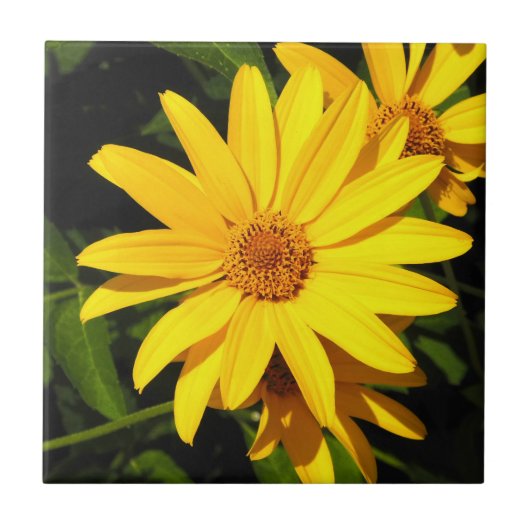 Sonnenblume Gold Decorative Tile Fliese (Vorderseite)