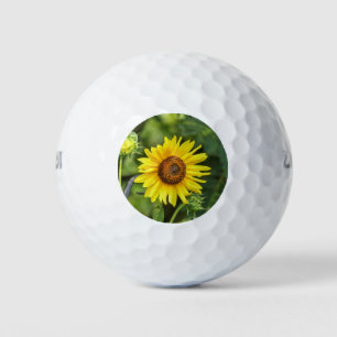Sonnenblume Golfball