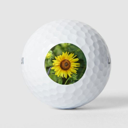 Sonnenblume Golfball (Vorderseite)