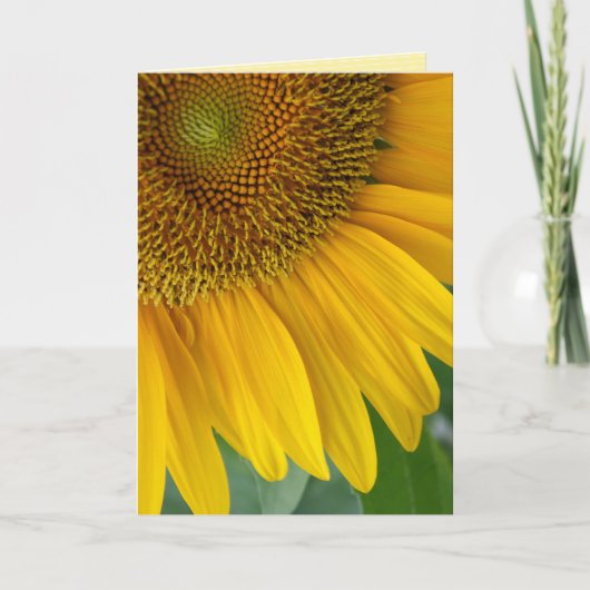 "Sonnenblume" GREETKARTE Karte (Vorderseite)