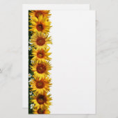 Sonnenblume-Grenzbriefpapier Briefpapier (Vorne/Hinten)