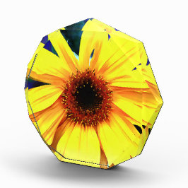 Sonnenblume Große Akryloktagon Acryl Auszeichnung