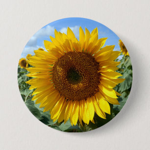 Sonnenblume-großes rundes Abzeichen Button