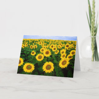 Sonnenblume-Gruß-Karte Karte