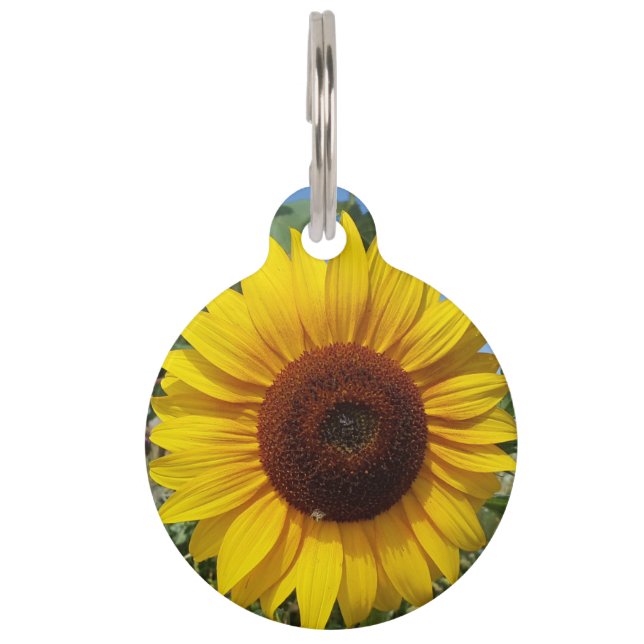 Sonnenblume Haustiermarke (Vorderseite)