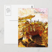 Sonnenblume, Herkunftsnachweis Postkarte (Vorne/Hinten)