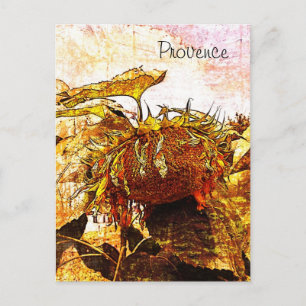 Sonnenblume, Herkunftsnachweis Postkarte
