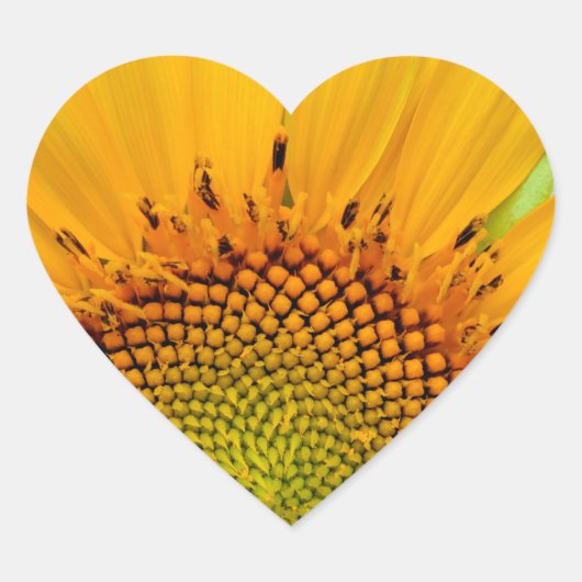 Sonnenblume Herz-Aufkleber (Vorderseite)