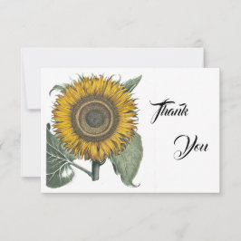 Sonnenblume Hortus Eystettensis , 1713 Dankeskarte