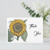 Sonnenblume Hortus Eystettensis , 1713 Dankeskarte (Stehend Vorderseite)