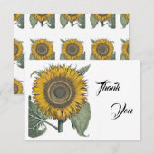 Sonnenblume Hortus Eystettensis , 1713 Dankeskarte (Vorne/Hinten)