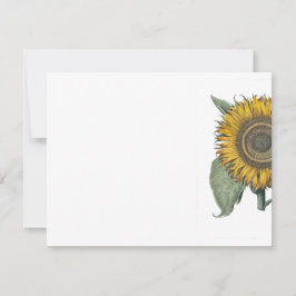 Sonnenblume Hortus Eystettensis , 1713 Mitteilungskarte