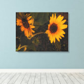 Sonnenblume im Abend Leinwanddruck (Insitu (Holzboden))