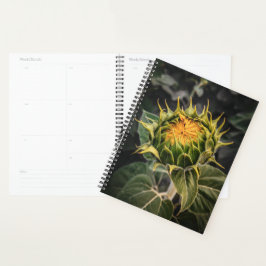 Sonnenblume im Blütenplaner Planer