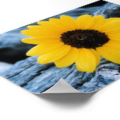 Sonnenblume im Brennholz Poster (Ecke)
