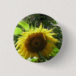 Sonnenblume-im Garten arbeitenknopf Button