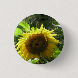 Sonnenblume-im Garten arbeitenknopf Button