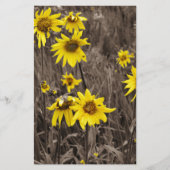 Sonnenblume im Rocky Mountain Briefpapier (Vorderseite)