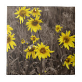 Sonnenblume im Rocky Mountain Fliese (Vorderseite)