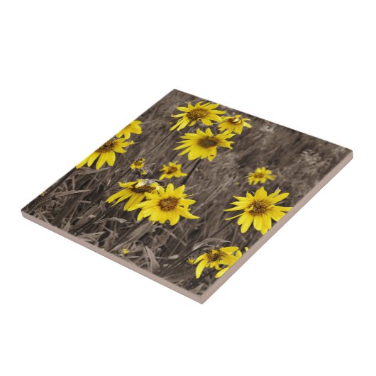 Sonnenblume im Rocky Mountain Fliese (Seite)