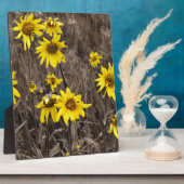 Sonnenblume im Rocky Mountain Fotoplatte (Seite)