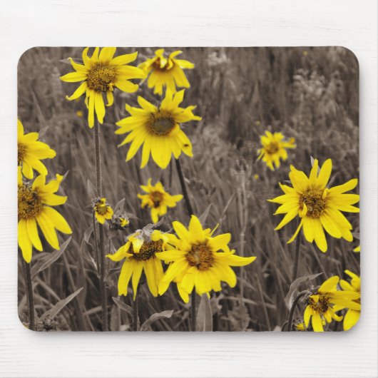Sonnenblume im Rocky Mountain Mousepad (Vorne)