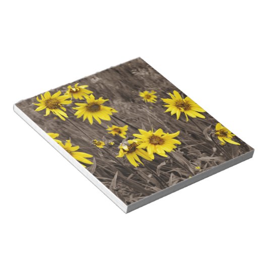 Sonnenblume im Rocky Mountain Notizblock (angewinkelt)