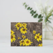 Sonnenblume im Rocky Mountain Postkarte (Stehend Vorderseite)