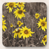 Sonnenblume im Rocky Mountain Untersetzer (Vorderseite)