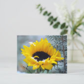 Sonnenblume im Schnee Postkarte (Stehend Vorderseite)