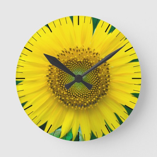 Sonnenblume im Sommer Runde Wanduhr (Vorderseite)