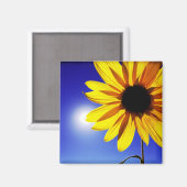 Sonnenblume im Sonnenmagazin Magnet (Vorderseite/Rückseite)