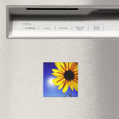 Sonnenblume im Sonnenmagazin Magnet (In Situ (Geschirrspüler))