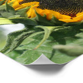 Sonnenblume im Sonnenschein Abstrakt Poster (Ecke)
